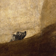 [纪录片] 狗心 Heart of a Dog  [阿奇/杰森·伯格][蓝光/高清1080p/4K下载]