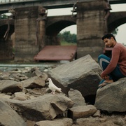 [剧情] 归途 Homebound  [伊沙恩·哈塔尔/詹维·卡浦尔][蓝光/高清1080p/4K下载]