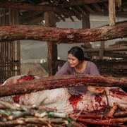 鬼舞村:诅咒起源 KKN di Desa Penari 2: Badarawuhi 剧照