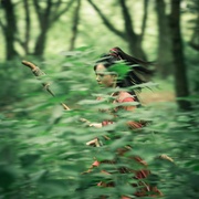 [冒险/古装] 海市蜃楼  [费启鸣/吕小雨][蓝光/高清1080p/4K下载]