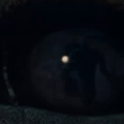 好狗狗 Good Boy 剧照