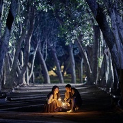 华灯初上 第三季 華燈初上 第三季 剧照