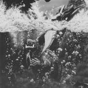 [科幻] 加美拉对深海怪兽吉古拉 ガメラ対深海怪獣ジグラ  [坂上也寸志/グロリア・ゾーナ][蓝光/高清1080p/4K下载]