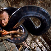 [动作/灾难] 狂蟒之灾 Anaconda  [詹妮弗·洛佩兹/艾斯·库珀][蓝光/高清1080p/4K下载]