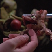 [冒险/科幻] 领航员 Flight of the Navigator  [莎拉·杰茜卡·帕克/乔伊·克莱默][蓝光/高清1080p/4K下载]