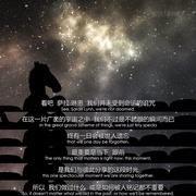 [动画] 马男波杰克 第三季 BoJack Horseman Season 3  [威尔·阿奈特/艾米·塞德丽丝][蓝光/高清1080p/4K下载]