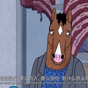 [动画] 马男波杰克 第三季 BoJack Horseman Season 3  [威尔·阿奈特/艾米·塞德丽丝][蓝光/高清1080p/4K下载]