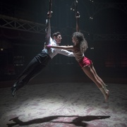 [传记/歌舞] 马戏之王 The Greatest Showman  [休·杰克曼/米歇尔·威廉姆斯][蓝光/高清1080p/4K下载]