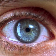 [剧情] 梦之安魂曲 Requiem for a Dream  [艾伦·伯斯汀/杰瑞德·莱托][蓝光/高清1080p/4K下载]