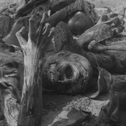 [音乐/战争] 缅甸的竖琴 ビルマの竪琴  [三国连太郎/西村晃][蓝光/高清1080p/4K下载]