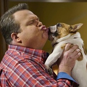 [喜剧/家庭] 摩登家庭 第九季 Modern Family Season 9  [艾德·奥尼尔/索菲娅·维加拉][蓝光/高清1080p/4K下载]