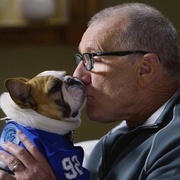 [喜剧/家庭] 摩登家庭 第九季 Modern Family Season 9  [艾德·奥尼尔/索菲娅·维加拉][蓝光/高清1080p/4K下载]