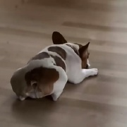 [喜剧/家庭] 摩登家庭 第四季 Modern Family Season 4  [艾德·奥尼尔/索菲娅·维加拉][蓝光/高清1080p/4K下载]