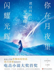 你在月夜里闪耀光辉