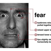 [犯罪/惊悚] 千谎百计 第一季 Lie to Me Season 1  [蒂姆·罗斯/凯利·威廉姆斯][蓝光/高清1080p/4K下载]