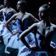 乔伊卡 The American 剧照