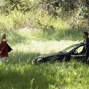 [爱情/奇幻] 绮梦之旅 A Big Bold Beautiful Journey  [玛格特·罗比/科林·法瑞尔][蓝光/高清1080p/4K下载]