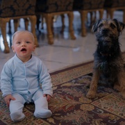 [喜剧] 人来宝 Man Vs Baby  [罗温·艾金森/阿兰娜·布卢尔][蓝光/高清1080p/4K下载]