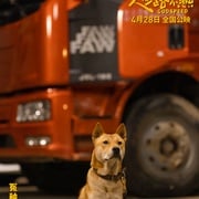 人生路不熟 剧照