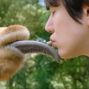 [真人秀] 三傻游肯尼亚 신서유기 외전: 삼시세끼 - 케냐 간 세끼  [殷志源/李寿根][蓝光/高清1080p/4K下载]