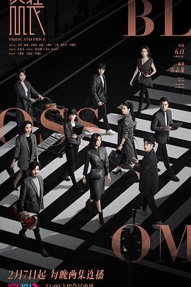 [剧情] 盛装  [宋佳/陈赫][蓝光/高清1080p/4K下载]