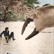 [科幻/家庭] 神秘岛 Mysterious Island  [迈克尔·克雷格/琼·格林伍德][蓝光/高清1080p/4K下载]