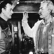 搜索者 The Searchers 剧照