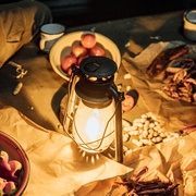 [冒险/悬疑] 淘金  [廖凡/陈飞宇][蓝光/高清1080p/4K下载]