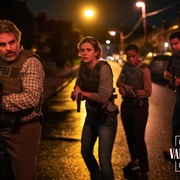 [犯罪] 特别小组 Task  [马克·鲁法洛/汤姆·派福瑞][蓝光/高清1080p/4K下载]