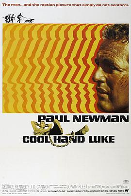 [犯罪] 铁窗喋血 Cool Hand Luke  [保罗·纽曼/乔治·肯尼迪][蓝光/高清1080p/4K下载]