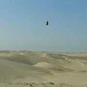 外星奇遇 Кин-дза-дза! 剧照