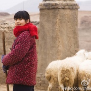 [家庭/爱情] 温州一家人  [李立群/迟蓬][蓝光/高清1080p/4K下载]