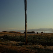 [短片] 窝 Hreiður  [Ída Mekkín Hlynsdóttir/Grímur Hlynsson][蓝光/高清1080p/4K下载]