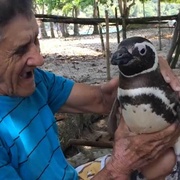 [家庭] 我的企鹅朋友 My Penguin Friend  [让·雷诺/艾德里安娜·巴拉扎][蓝光/高清1080p/4K下载]