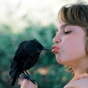 乌鸦男孩 Kauwboy 剧照