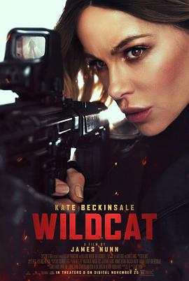 [动作/惊悚] 限时营救 Wildcat  [凯特·贝金赛尔/刘易斯·陈][蓝光/高清1080p/4K下载]
