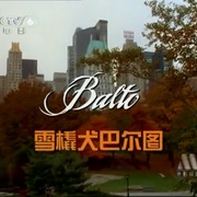 [家庭/冒险] 小狗波图 Balto  [凯文·贝肯/Bob Hoskins][蓝光/高清1080p/4K下载]