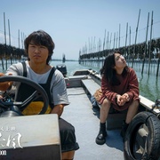 [剧情] 下一个台风  [张子枫/张伟丽][蓝光/高清1080p/4K下载]