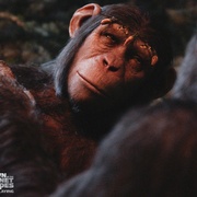 [动作/科幻] 猩球崛起2：黎明之战 Dawn of the Planet of the Apes  [安迪·瑟金斯/杰森·克拉克][蓝光/高清1080p/4K下载]