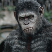 [动作/科幻] 猩球崛起2：黎明之战 Dawn of the Planet of the Apes  [安迪·瑟金斯/杰森·克拉克][蓝光/高清1080p/4K下载]