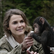 [动作/科幻] 猩球崛起2：黎明之战 Dawn of the Planet of the Apes  [安迪·瑟金斯/杰森·克拉克][蓝光/高清1080p/4K下载]