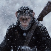 猩球崛起3：终极之战 War for the Planet of the Apes 剧照