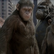 [动作/科幻] 猩球崛起 Rise of the Planet of the Apes  [詹姆斯·弗兰科/安迪·瑟金斯][蓝光/高清1080p/4K下载]