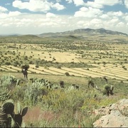 [科幻/惊悚] 意外空间 El Incidente  [胡伯托·巴斯托/Erick Trinidad Camacho][蓝光/高清1080p/4K下载]