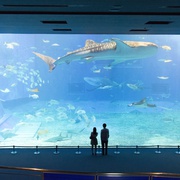 [爱情] 一吻定情2 イタズラなKiss2～Love in TOKYO  [矢作穗香/古川雄辉][蓝光/高清1080p/4K下载]