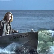 [犯罪/悬疑] 欲劫迷离 The Deep End  [Tilda Swinton][蓝光/高清1080p/4K下载]