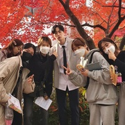 @账号已删除 @계정을 삭제하였습니다  [申素贤/裴珍映][蓝光/高清1080p/4K下载]