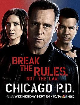 [动作] 芝加哥警署 第二季 Chicago P.D. Season 2  [杰森·贝盖/伊恩·鲍汉][蓝光/高清1080p/4K下载]