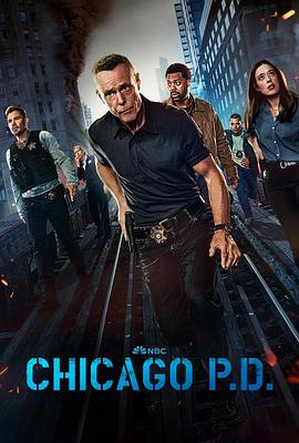[犯罪] 芝加哥警署 第十二季 Chicago P.D. Season 12  [杰森·贝盖][蓝光/高清1080p/4K下载]