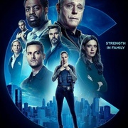 [犯罪/动作] 芝加哥警署 第十季 Chicago P.D. Season 10  [杰森·贝盖/杰西·李·索弗][蓝光/高清1080p/4K下载]